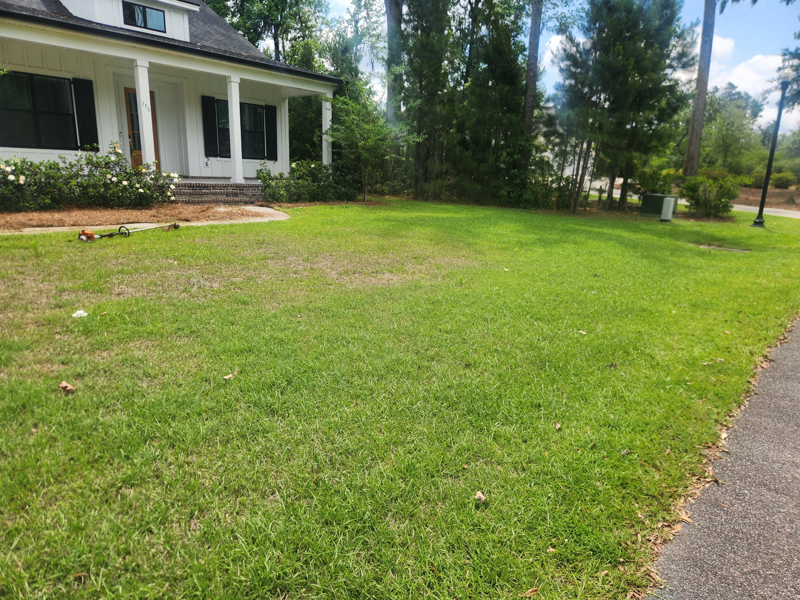 Lawn Maintenance